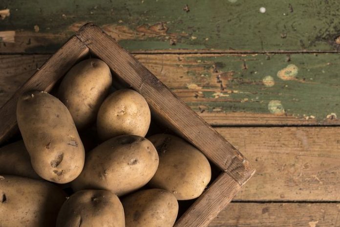 Come Conservare Le Patate Cosa Fare E Cosa Non Fare