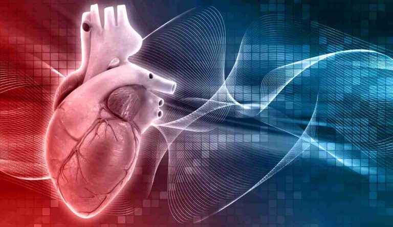 Cibi Che Puliscono Le Arterie Ecco Quali Sono E Perch Dovremmo