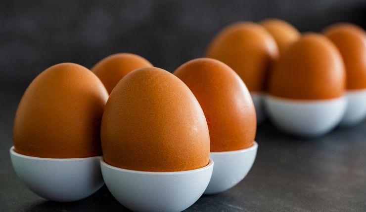 uova fanno aumentare il colesterolo
